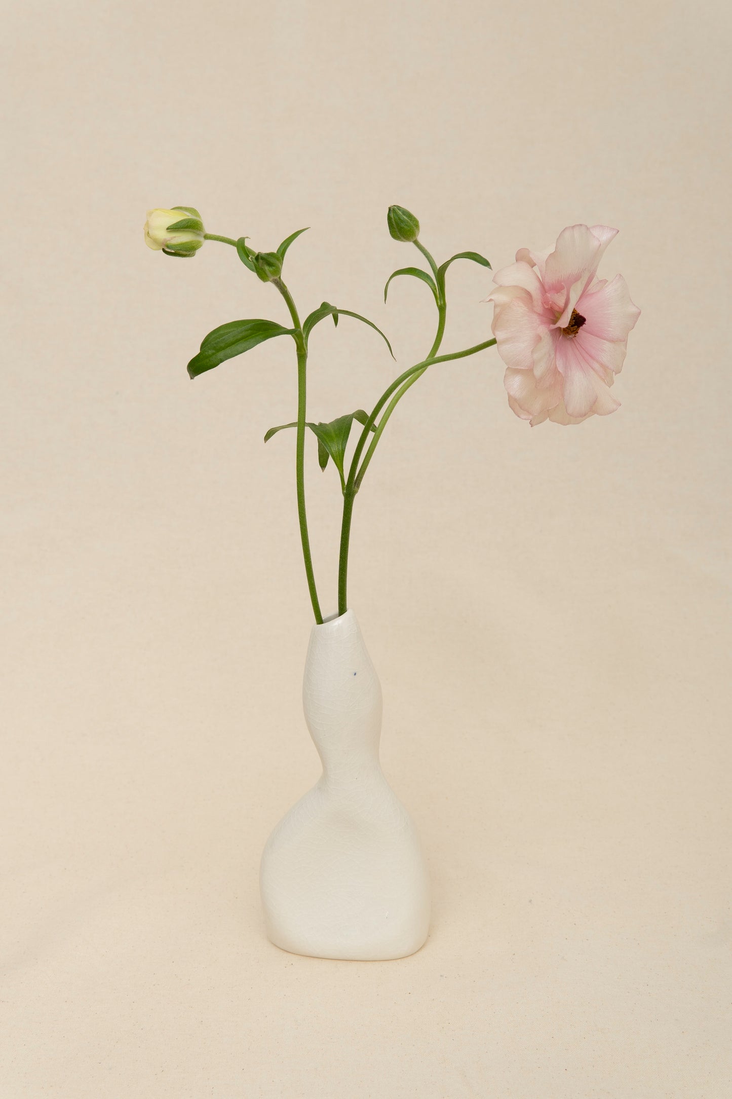 FEMME VASE 1