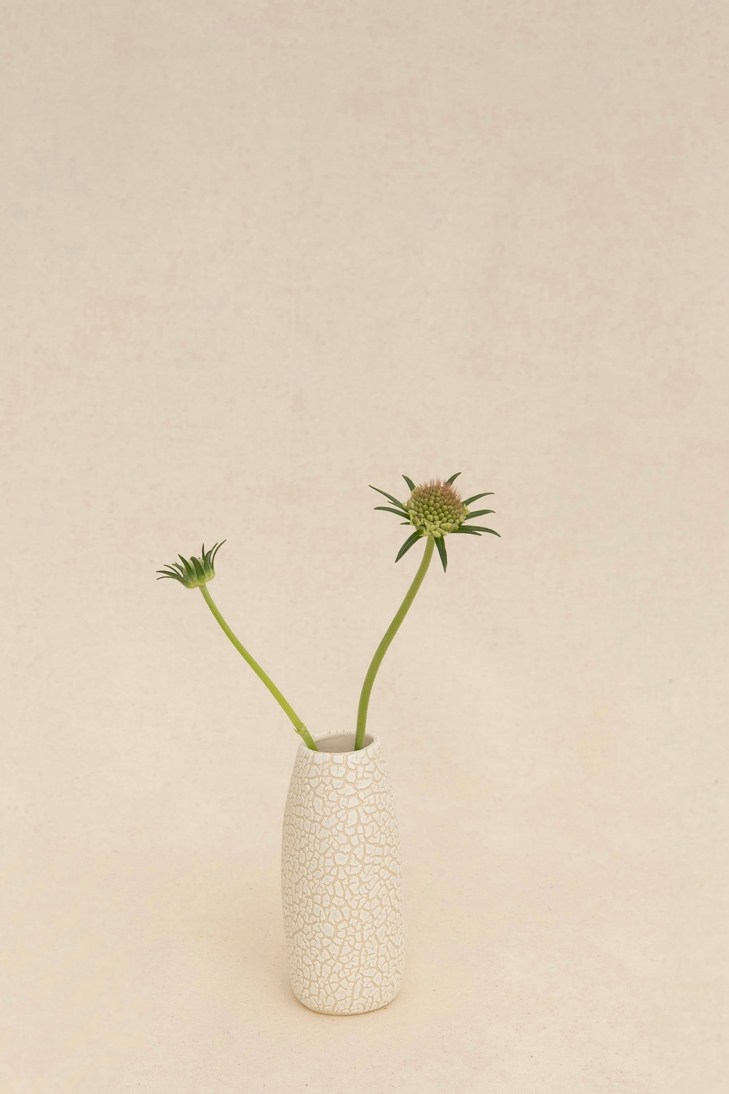 BUD VASE 2