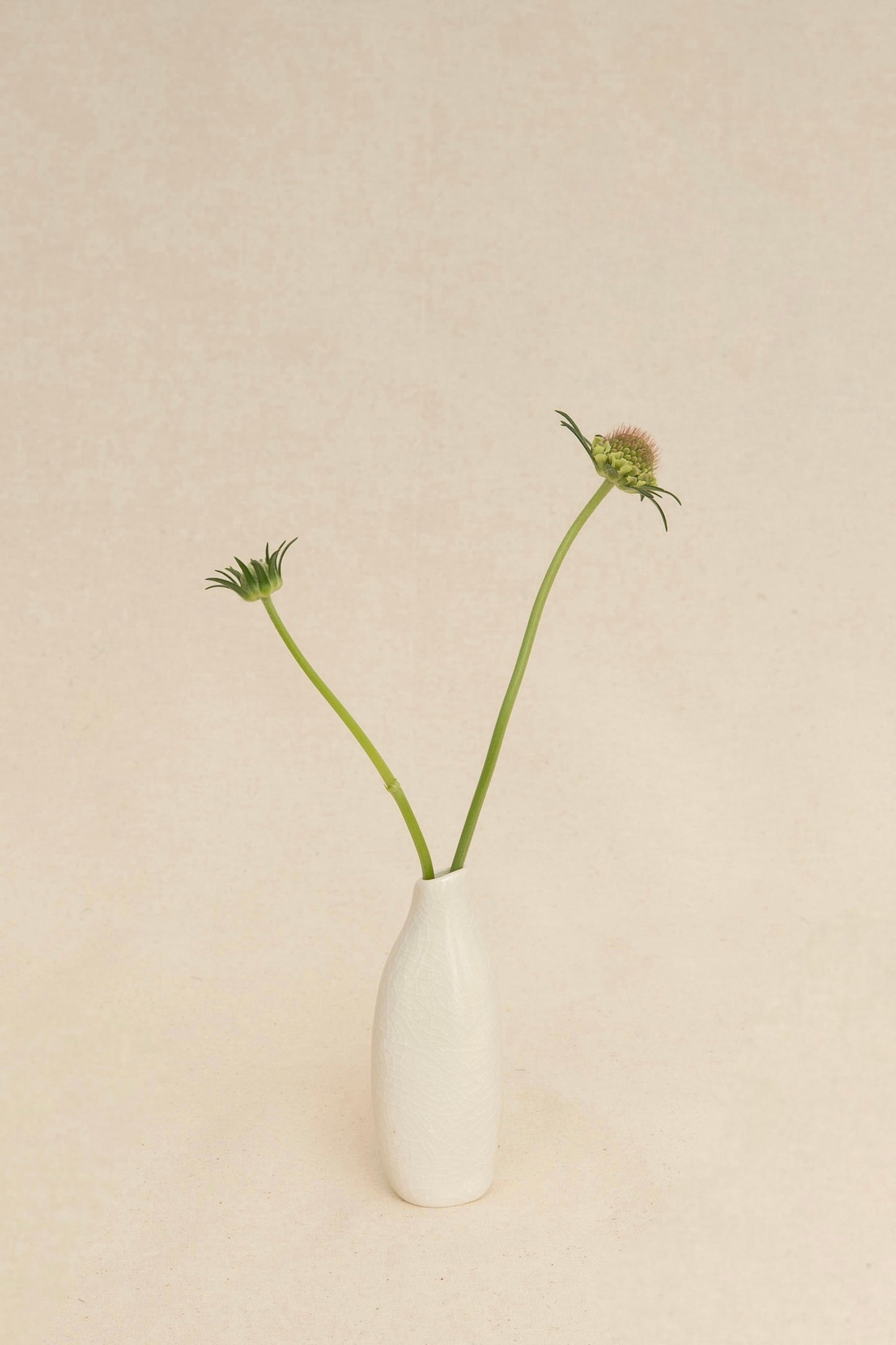 BUD VASE 1