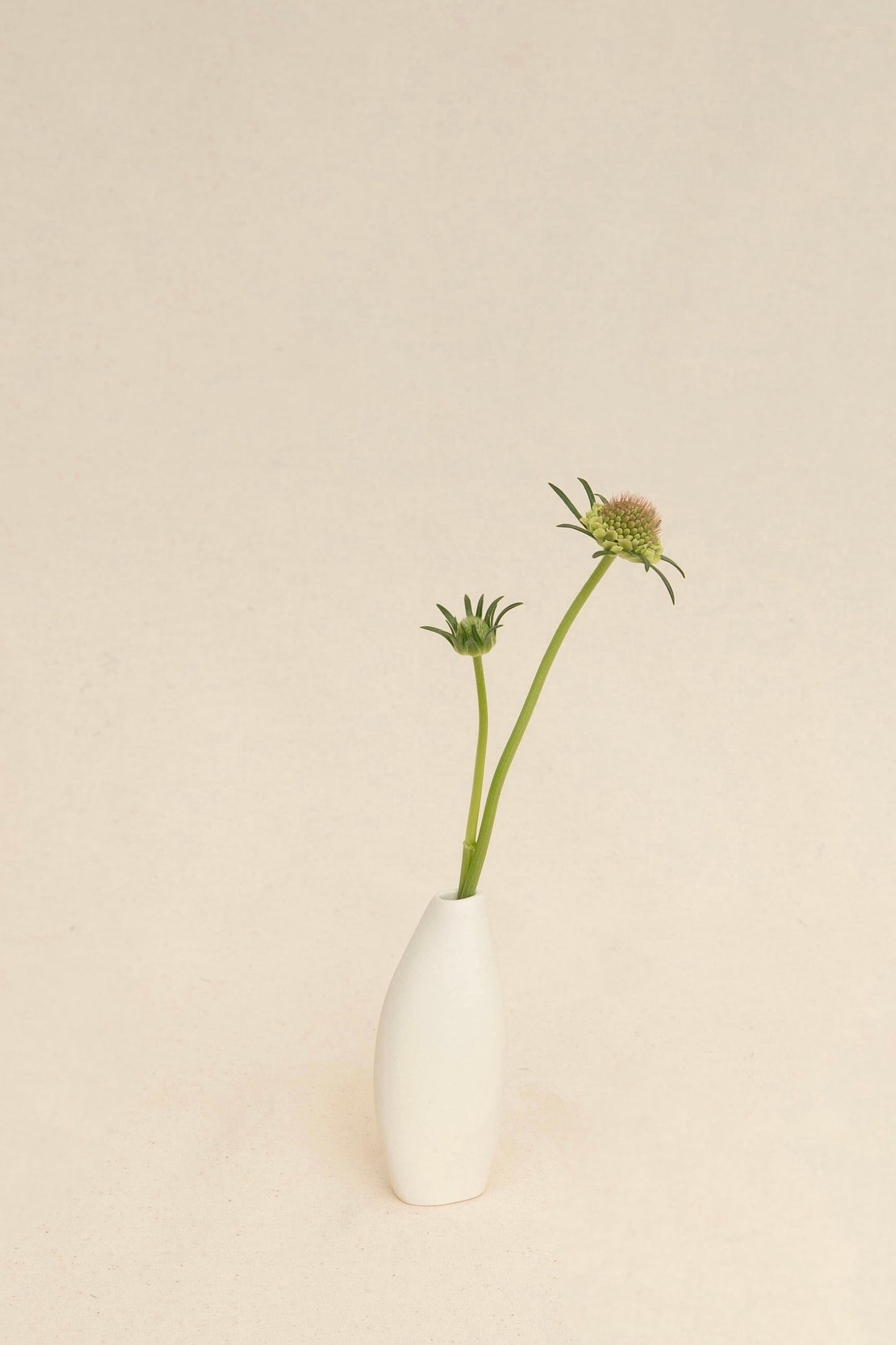 BUD VASE 1