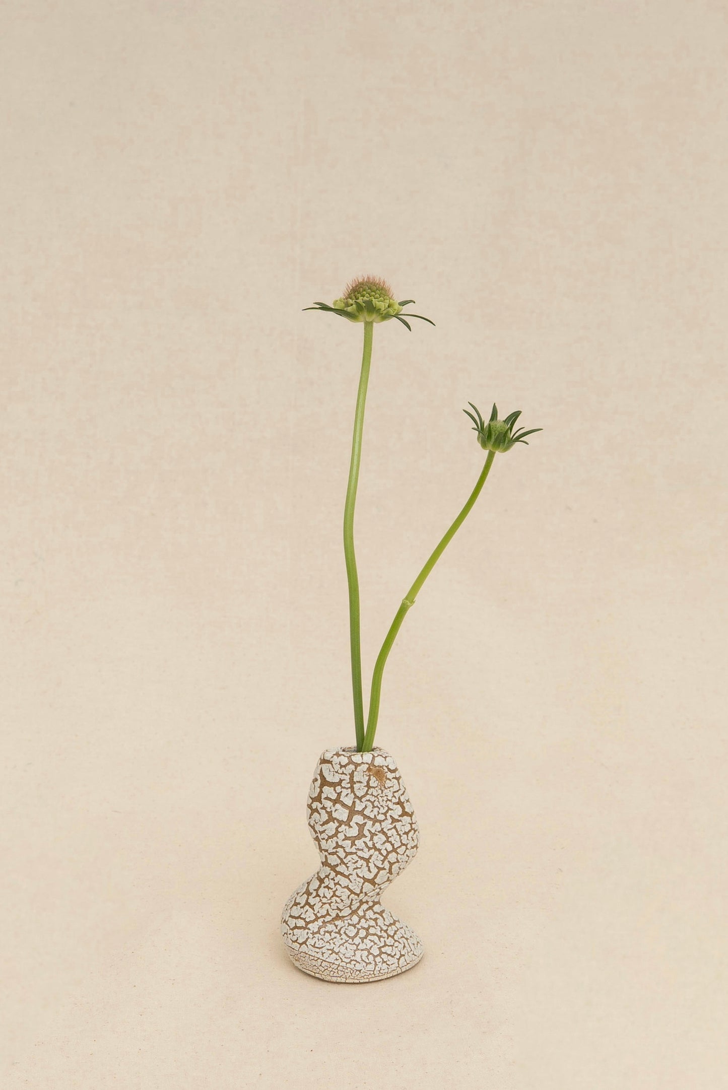 MINI TWIST VASE