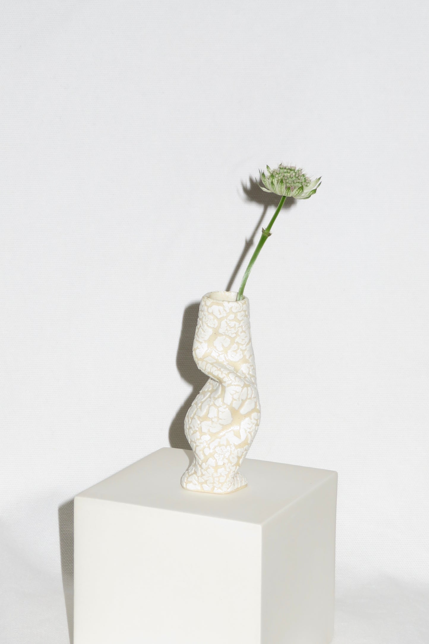 Mini Bud Vase White Snake