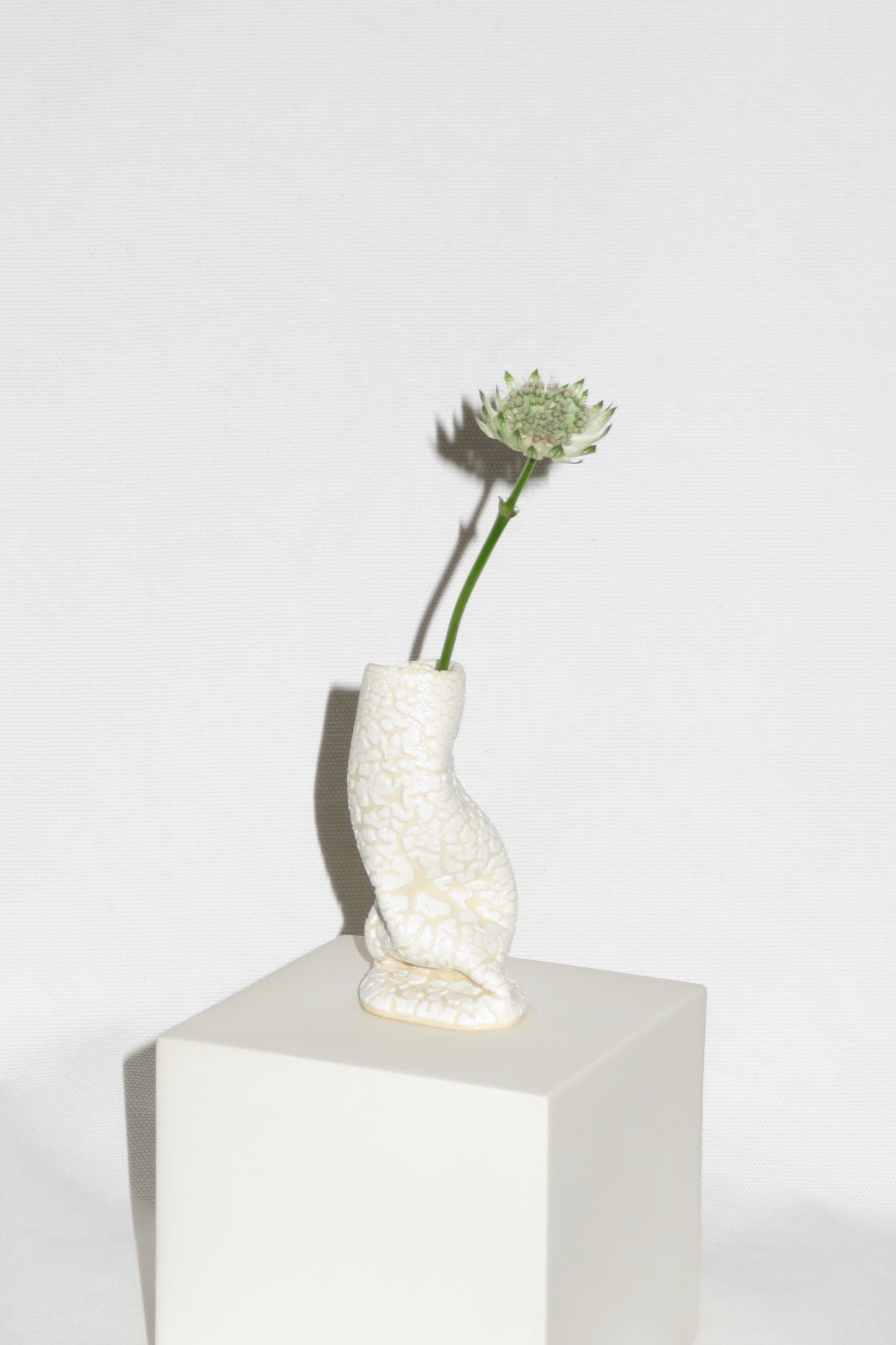 Mini Bud Vase White Snake